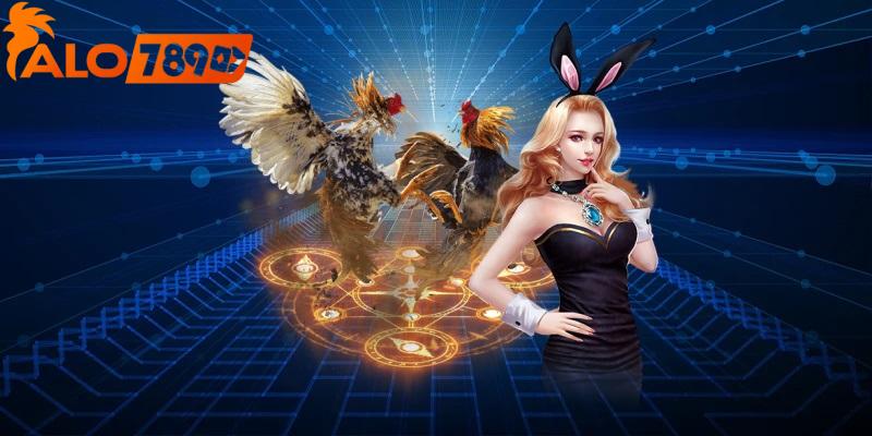 Nhà cái đưa ra đa dạng các loại hình đá gà